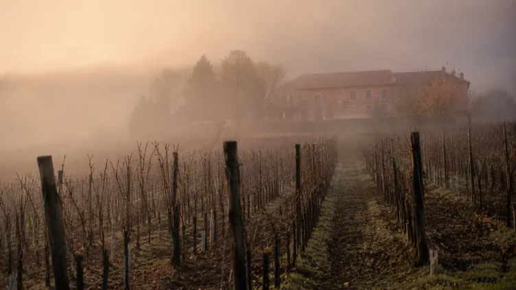 Piemonte nascosto: ritiri tra i vigneti per ritrovare il proprio tempo