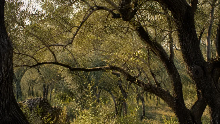 Weekend nella natura in Italia: dove trovare il silenzio